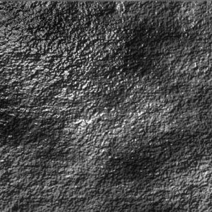 Meet your Posher, Rick